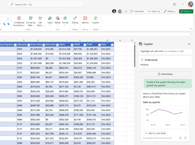 Example of Copilot in Excel